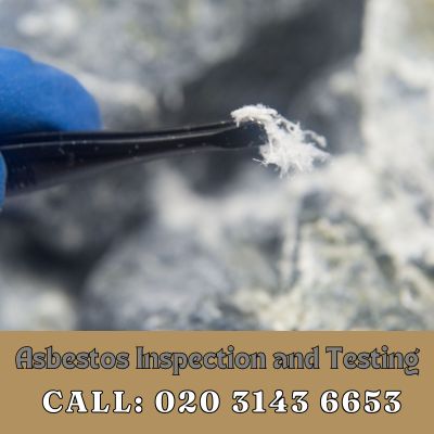 Comprehensive Asbestos Inspection and Testing Services in Long Ditton